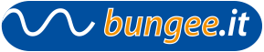 Bungee.it Logo